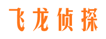 江孜找人公司